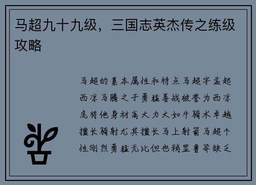 马超九十九级，三国志英杰传之练级攻略